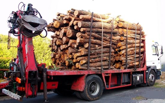 GRUME CAMION DE 50M3 EN HÊTRE