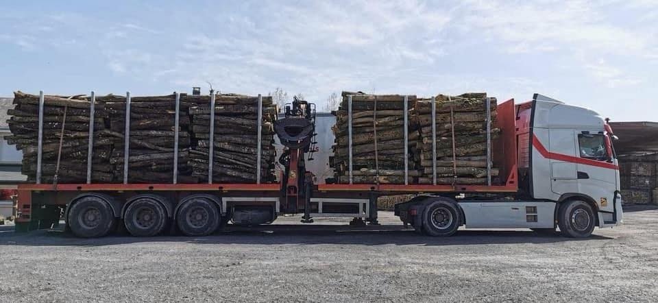 Camion de 50m3 Hêtre en grume