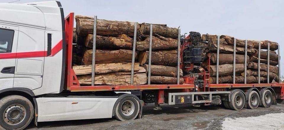 CHÂTAIGNIER EN GRUME, CAMION DE 50M3